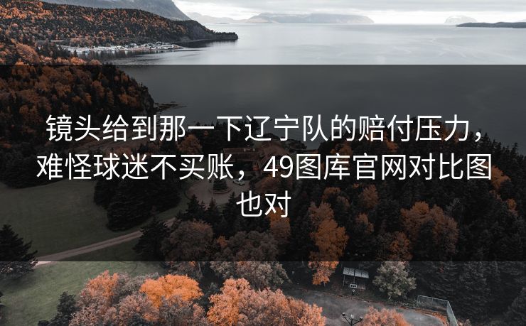 镜头给到那一下辽宁队的赔付压力，难怪球迷不买账，49图库官网对比图也对