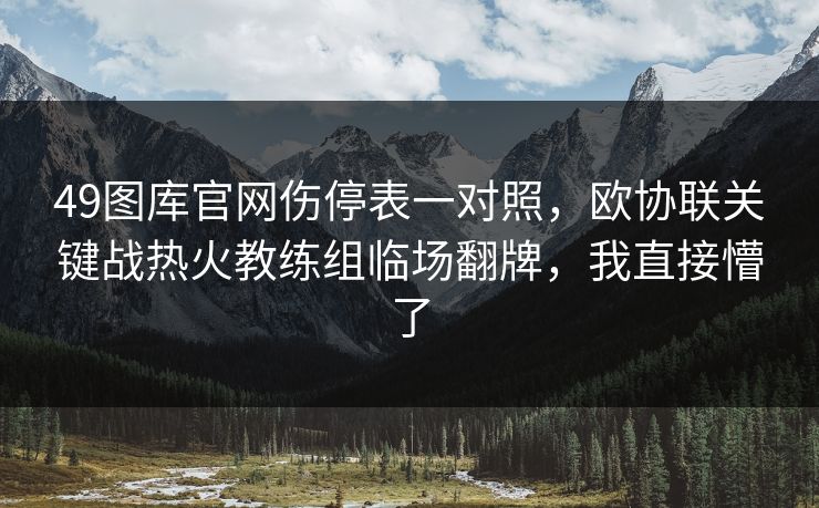 49图库官网伤停表一对照，欧协联关键战热火教练组临场翻牌，我直接懵了