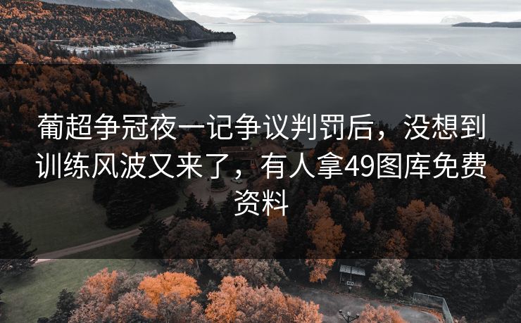 葡超争冠夜一记争议判罚后，没想到训练风波又来了，有人拿49图库免费资料