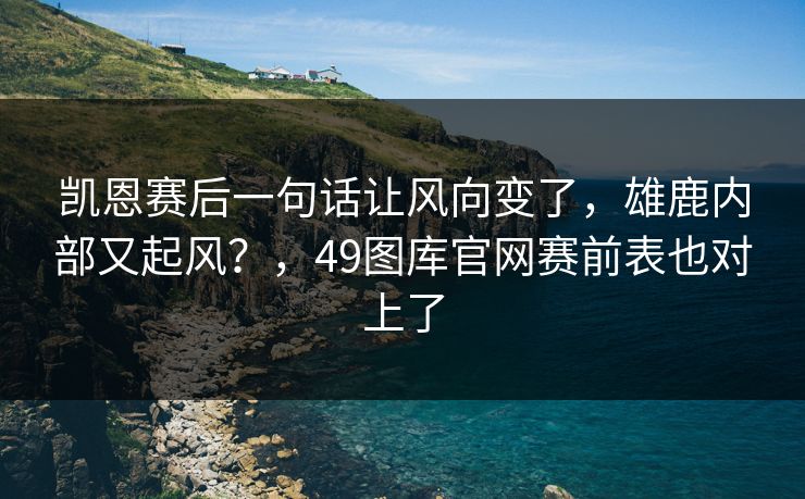 凯恩赛后一句话让风向变了，雄鹿内部又起风？，49图库官网赛前表也对上了
