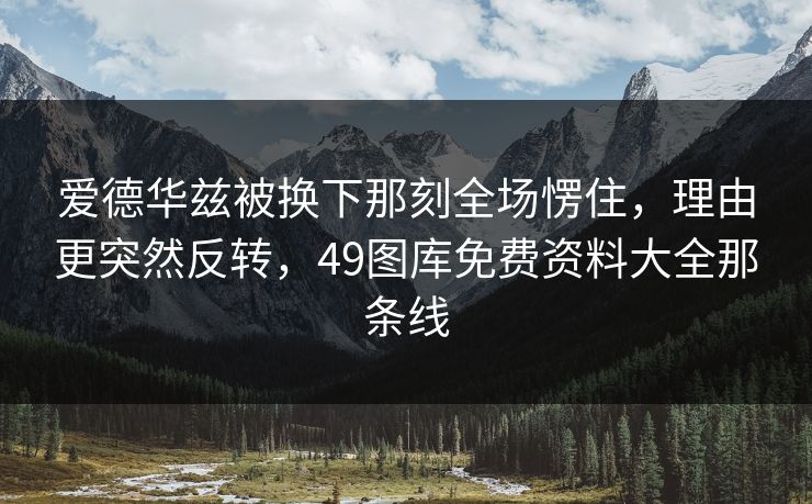 爱德华兹被换下那刻全场愣住,理由更突然反转,49图库免费资料大全那条线 爱德华兹被换下那刻全场愣住,理由更突然反转,49图库免费资料大全那条线